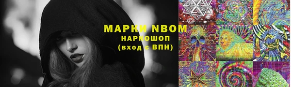 дурь Алзамай