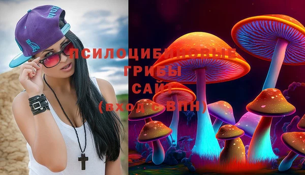 дурь Алзамай