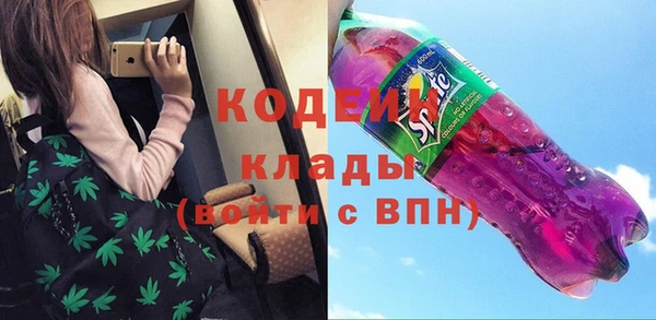 шишки Заволжье