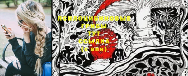 гидропоника Алексеевка