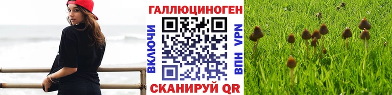 Галлюциногенные грибы GOLDEN TEACHER  Лобня 