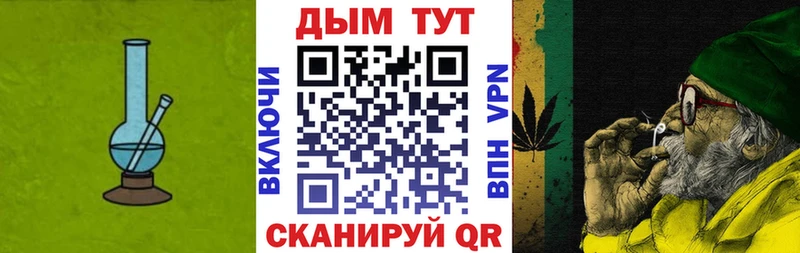 Бошки Шишки планчик  дарнет шоп  Лобня 